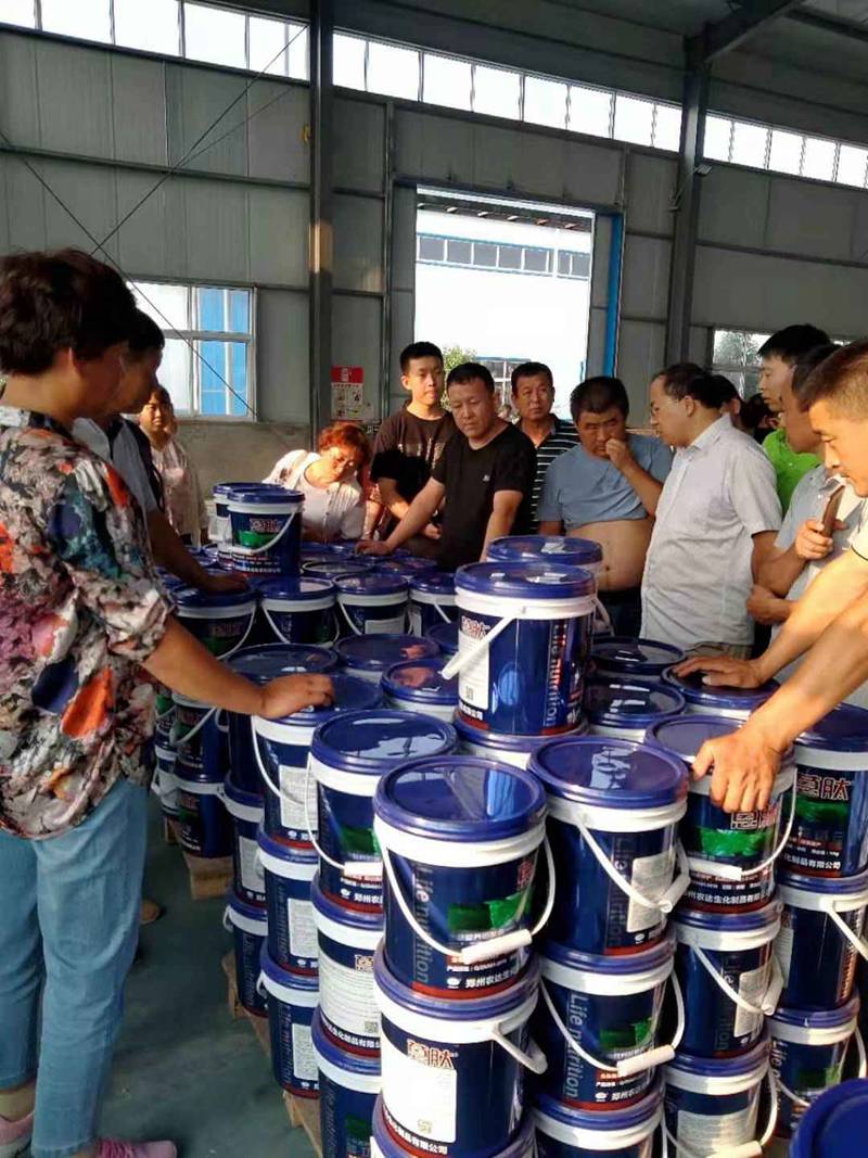 河北衡水饒陽縣農資精英到訪農達生化孟州園區(圖4) 河北衡水饒陽縣農資精英到訪農達生化孟州園區(圖4)