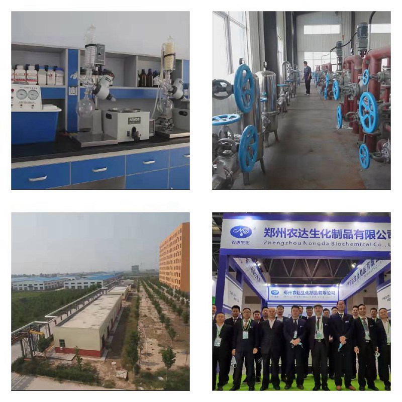 喜訊來襲!農達生化再獲農業部公示農藥登記證!(圖3) 喜訊來襲!農達生化再獲農業部公示農藥登記證!(圖3)